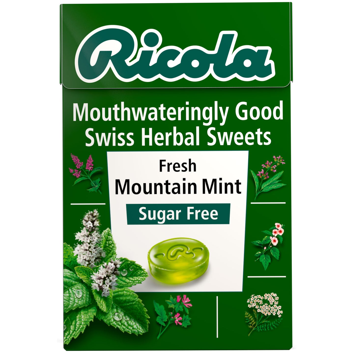 Fresh Mountain Mint 45g sugar free box